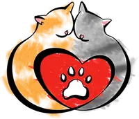 Paws on My Heart Inc - Indiana Cat Rescue